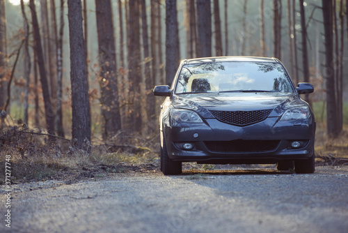 Car parked next to the wood