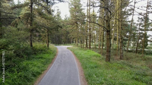 Slow aerial backward view of path between trees in nature park, Spain. photo