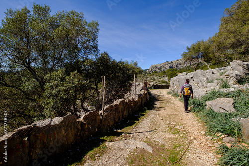 walker on the Cami de Muntanya, Bunyola, Mallorca, Balearic Islands, Spain