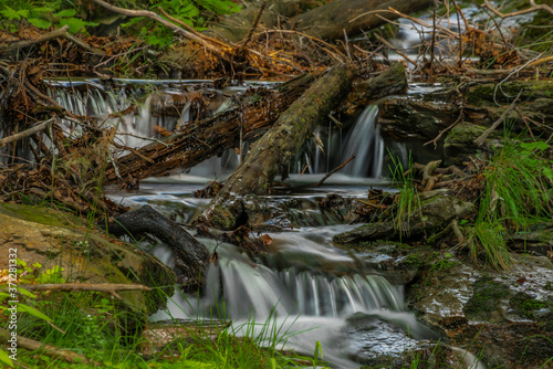 Small waterfall on Divoky creek near Kouty nad Desnou village in summer day