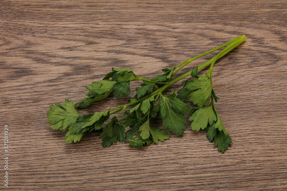 Green fresh parsley branch herb Green fresh parsley branch herb