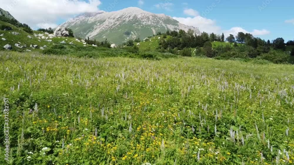 Mountains of the Caucasus. Top view on a sunny summer day Mountains of the Caucasus. Top view on a sunny summer day