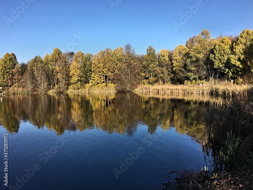 A view of Alderford lake in Shropshire with reflection