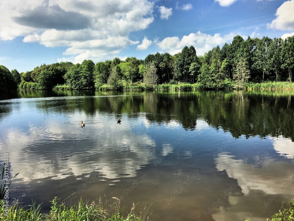 A view of Alderford lake  in Shropshire with reflection