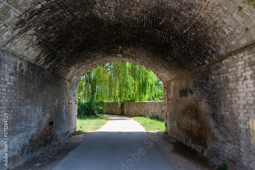Underpass leading to large weeping willow