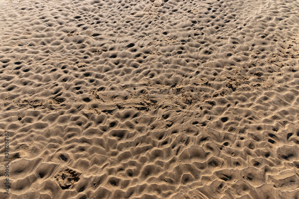 ripples in the sand ripples in the sand