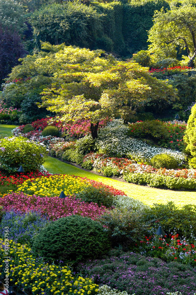 Butchard Gardens in Victoria, Canada with beautiful manicured gardens and flowers of every color in a natural environmental setting
