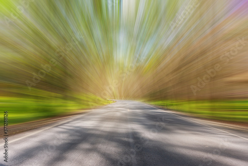 Tree tunnel, Asphalt road blurred, green leaf, of tree tunnel, sky background, Abstract road background