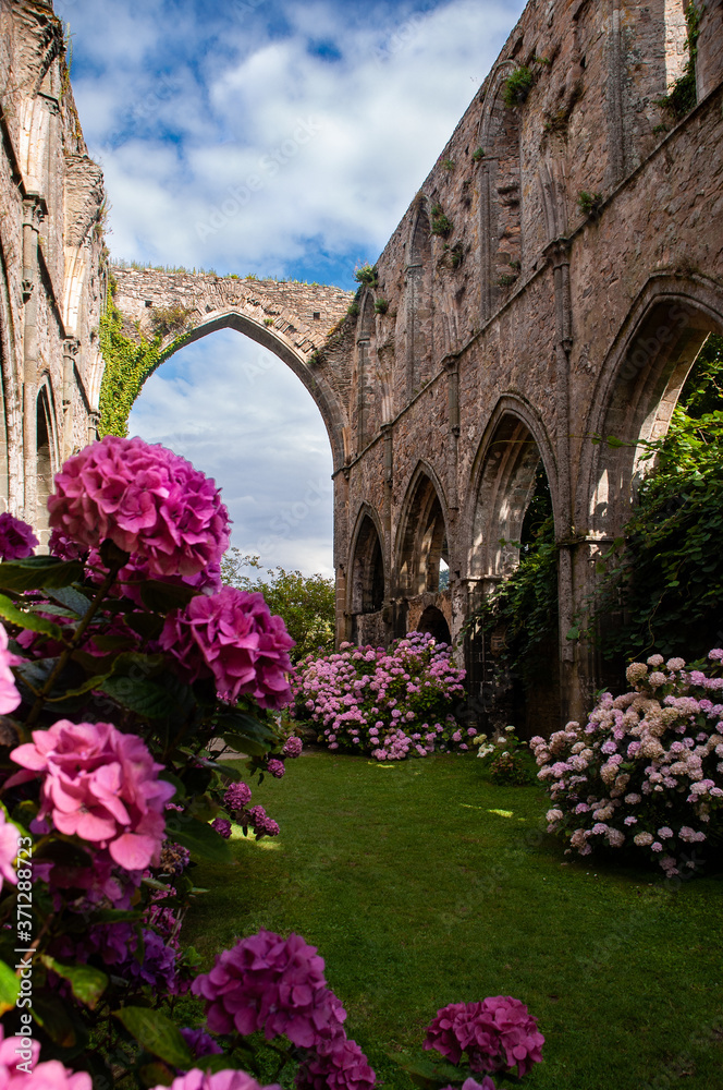 L'abbaye et les fleurs
