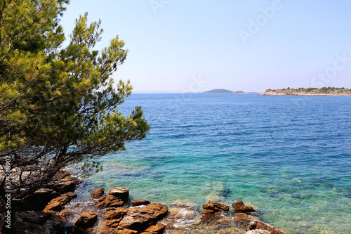 Fototapeta Naklejka Na Ścianę i Meble -  Pine tree on the beautiful beach on island Murter, Croatia.