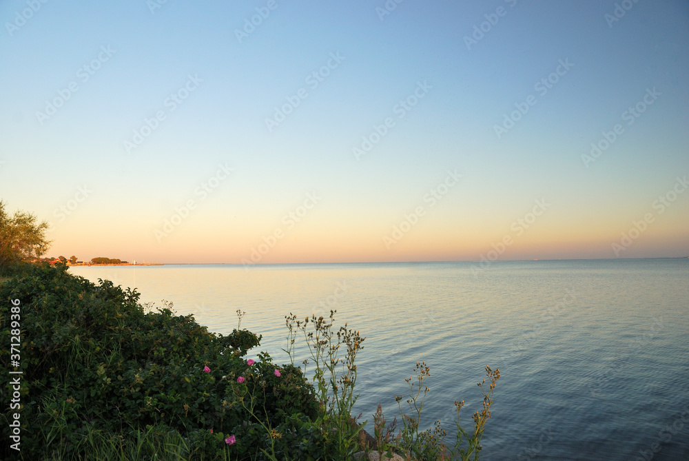 Calm blue water of Pucka Bay, sunset sky and bush of wild roses