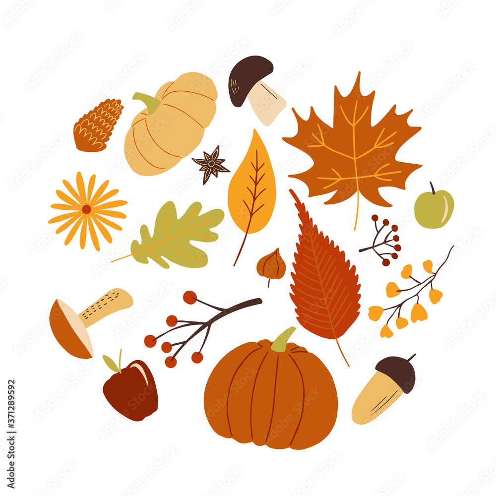 Set of colorful autumn elements isolated on white background.