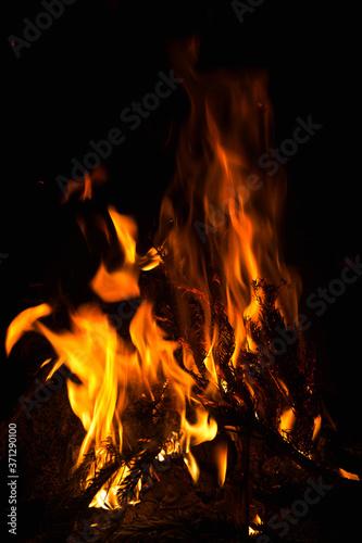 dark background bonfire from branches in the fireplace .