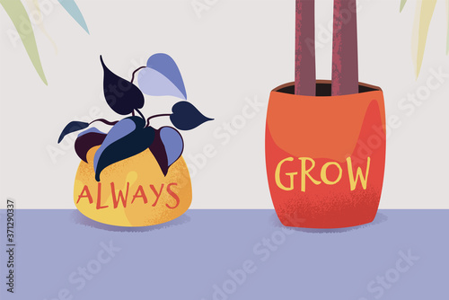 Always grow vector card with potted house plants
