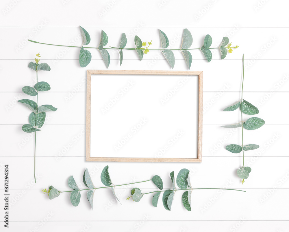 Wooden frame with eucalyptus on white background