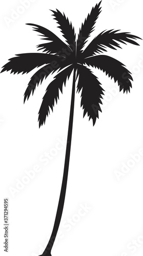 Isolated single black vector silhouette of a palm tree