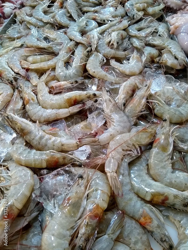 Fish Market