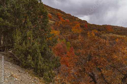 Utah mountain trail 6
