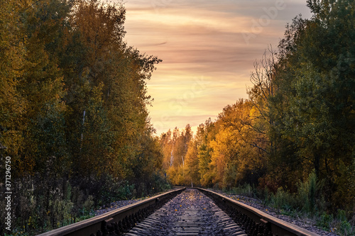 railway in the forest in autumn at sunset
