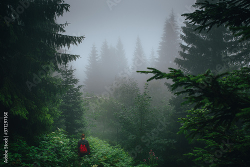 Female Hiker in misty green summer mountains. Adventure photo. © kovop58