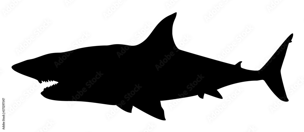 silhouette of a shark vector silhouette of a shark vector