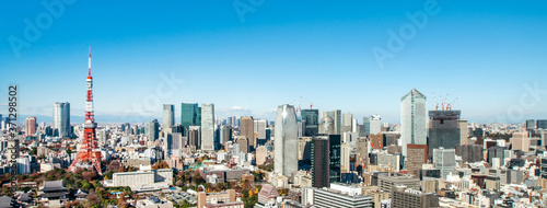 Panorama of Tokyo with a television tower. Japanese city top view. landmark of Tokyo. Japanese city landscape.