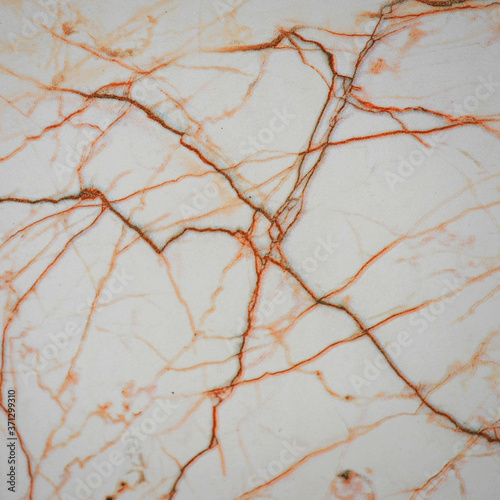white Italian marble texture seamless design
