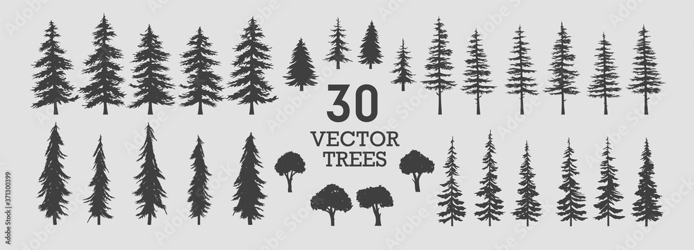 Vector trees - collection of 30 detailed and different tree silhouette illustrations. Eps set.  - obrazy, fototapety, plakaty 