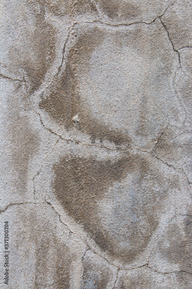 Abstract Old Cement Wall for texture background