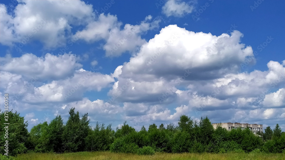 Forest plantation, blue sky with white clouds. Beautiful scenery. Forest plantation, blue sky with white clouds. Beautiful scenery.