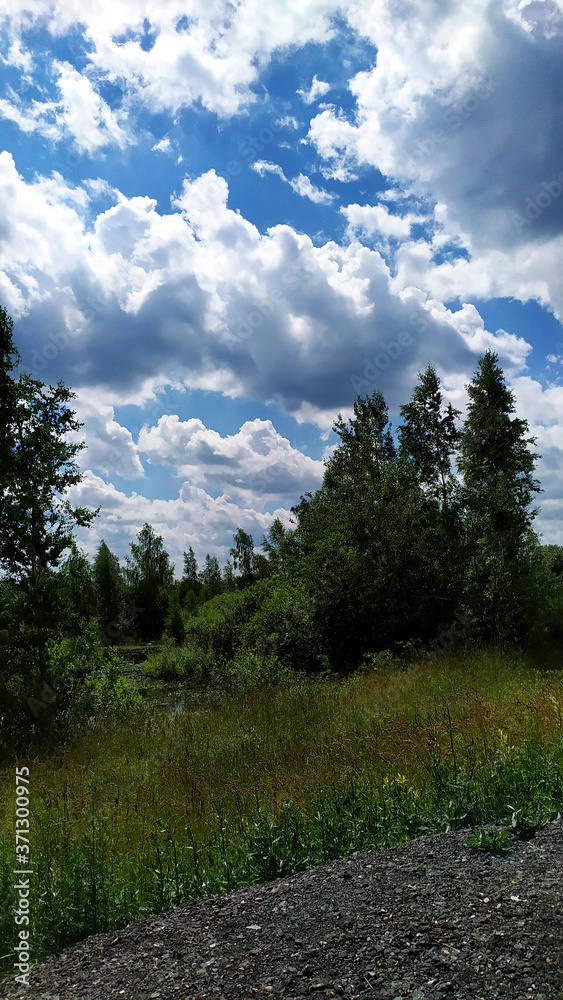 Landscape. Blue sky with white clouds over the forest.