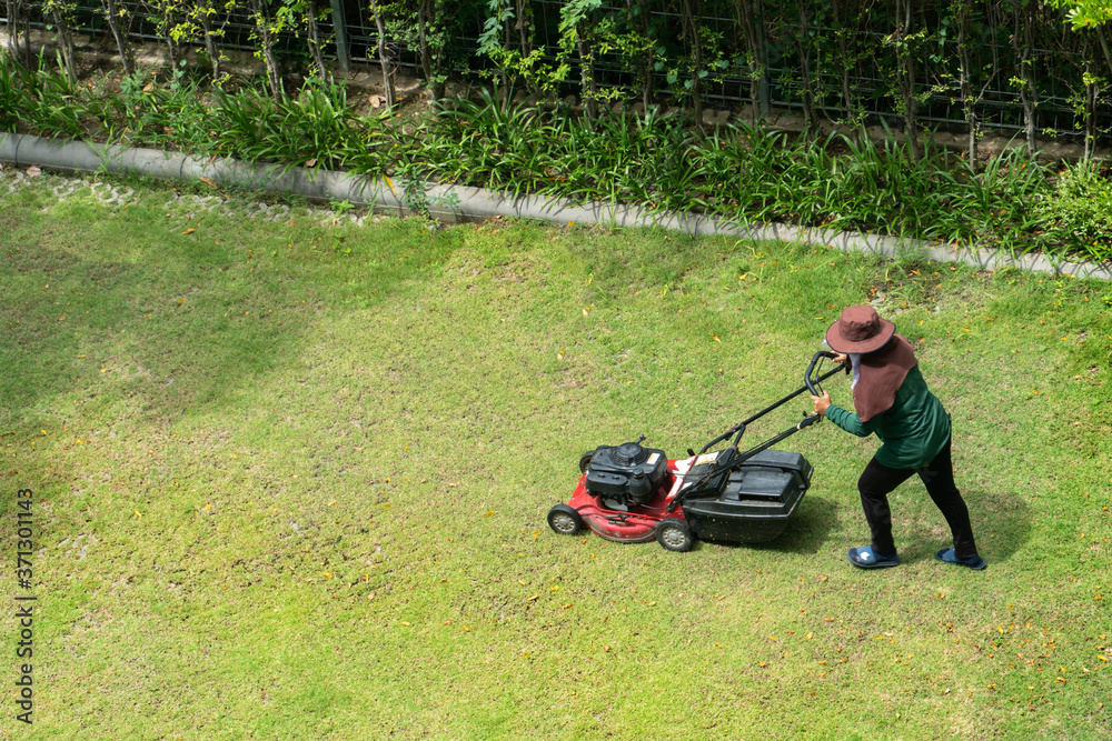 Fototapeta premium woman worker working pushing grass trimming with a lawnmower