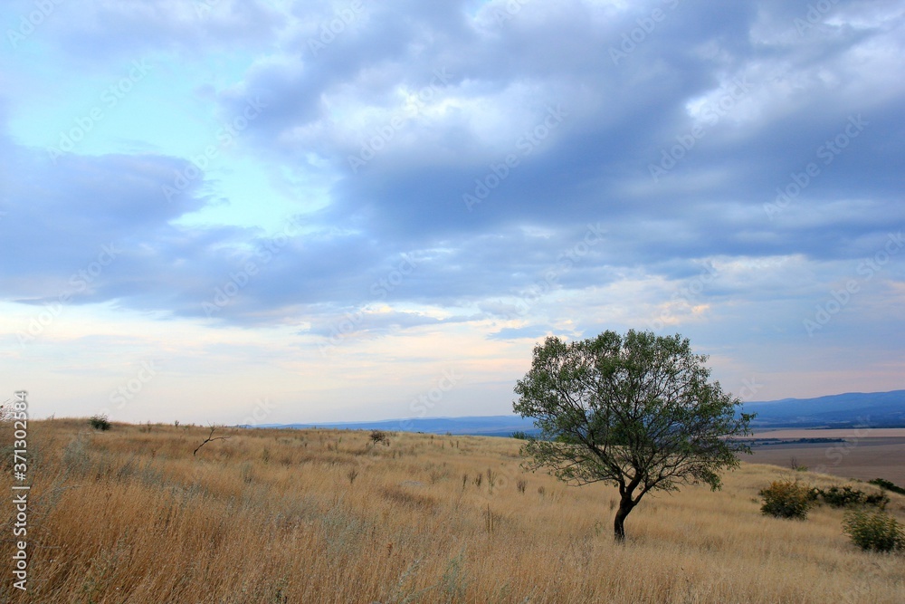 View of the plain from a height in the vicinity of the village of Avren (Bulgaria) at sunset