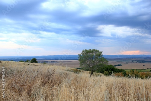 View of the plain from a height in the vicinity of the village of Avren  Bulgaria  at sunset