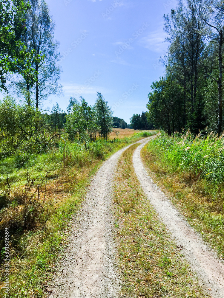 Swedish countryside road on a sunny summer day. Forest gravel road.