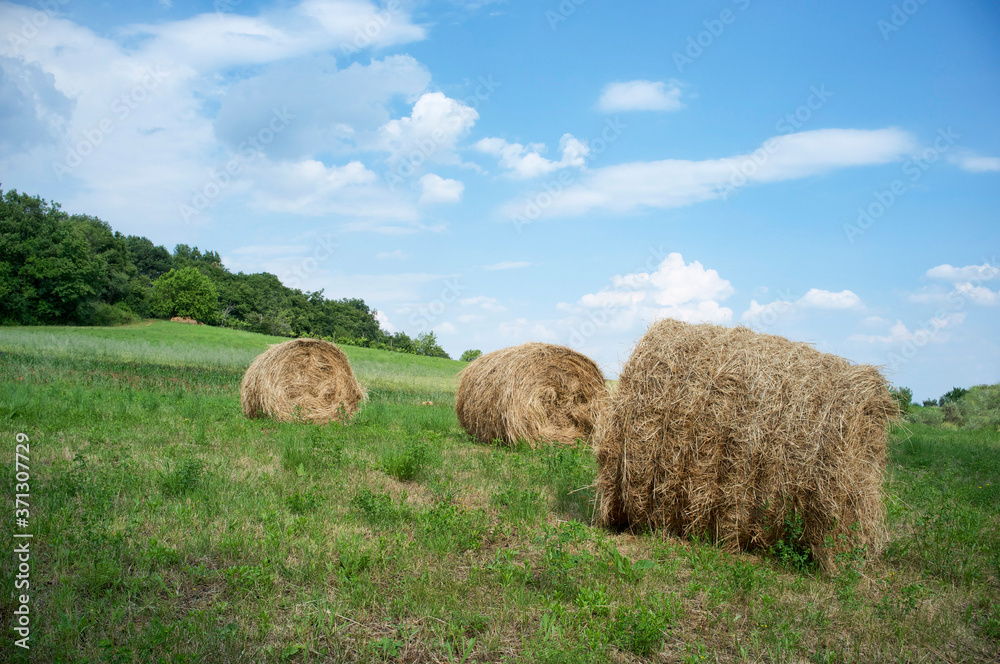 Round bale of hay and straw