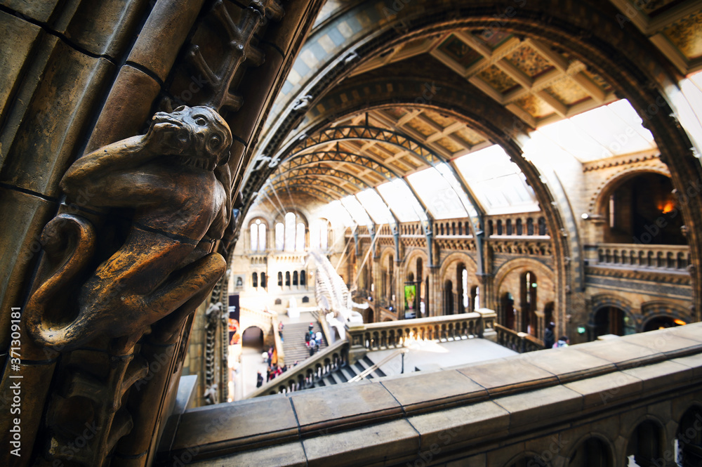 London, United Kingdom - April 17, 2019 - The central hall of the Natural History Museum in South Kensington, London, United Kingdom.