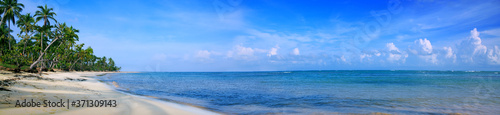 Caribbean sea and green palm tree on white tropical beach.