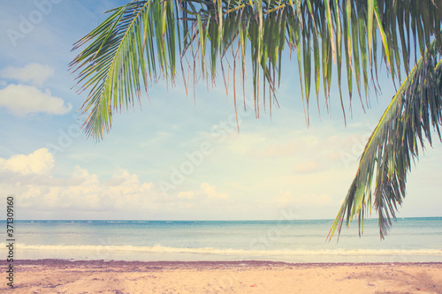Caribbean sea and palm leaves background.