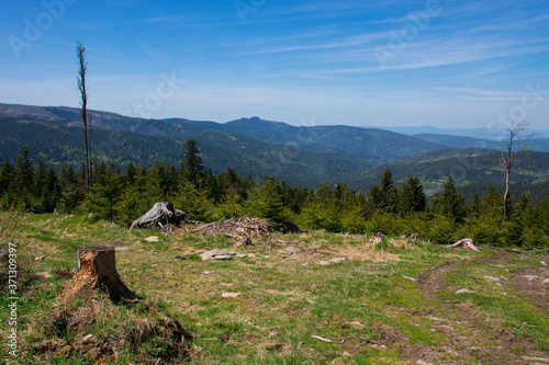 View from Pancir mountain at Sumava national park, Czech republic photo