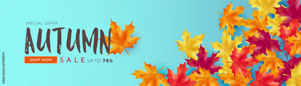 Fototapeta premium Autumn sale banner decorates with maple leaves on light blue background. Vector illustration template.