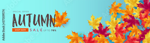 Autumn sale banner decorates with maple leaves on light blue background. Vector illustration template.