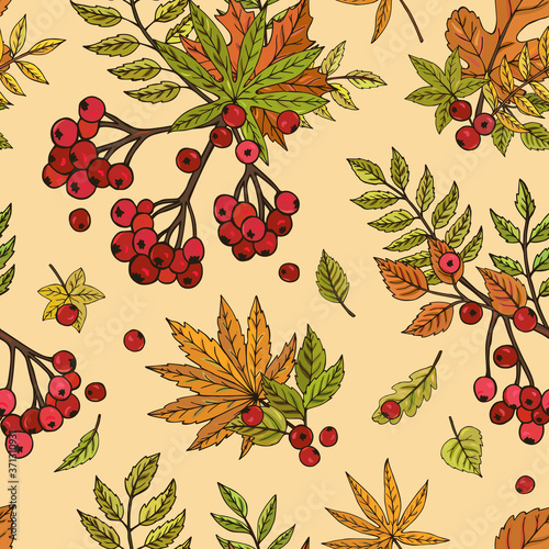 Seamless vector pattern with rowan berry branches. Autumn background with red berries and leaves. It can be used for websites, packing of gifts, fabrics, wallpapers. 