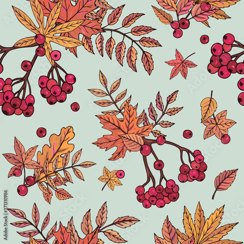 Seamless vector pattern with rowan berry branches. Autumn background with red berries and leaves. It can be used for websites, packing of gifts, fabrics, wallpapers. 