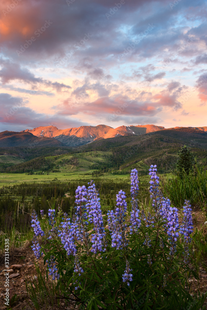 Alpenglow on the Continental Divide at Sunset, near Winter Park Colorado