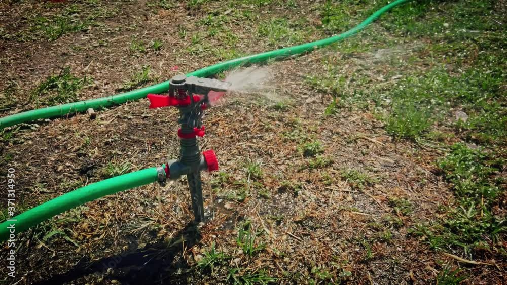 Watering sprinkler is spreading water all over the half dry lawn 60 fps slow motion. Watering sprinkler is spreading water all over the half dry lawn 60 fps slow motion.