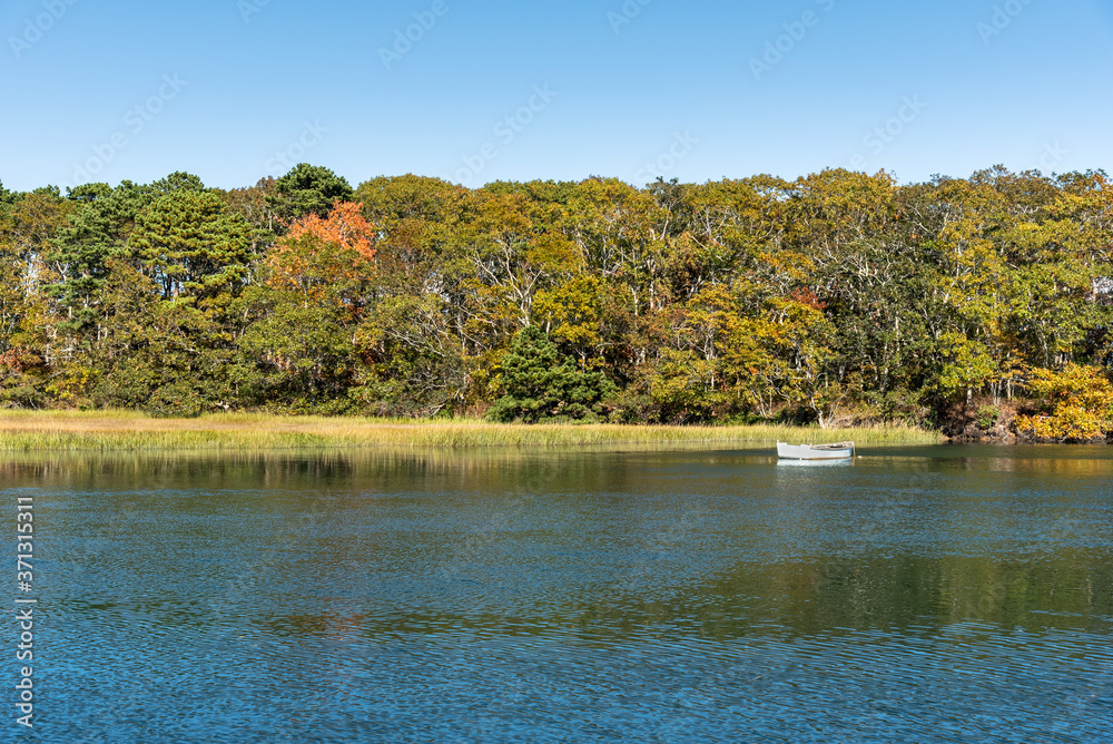 Tranquil scene with a rowing boat anchored in shallow water in a salt marsh with trees in background on a sunny autumn day Tranquil scene with a rowing boat anchored in shallow water in a salt marsh with trees in background on a sunny autumn day