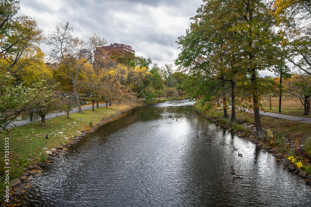 Canal lined with trees and paved paths in a public park on an overcast autumn day. Boston, MA, USA. Canal lined with trees and paved paths in a public park on an overcast autumn day. Boston, MA, USA.