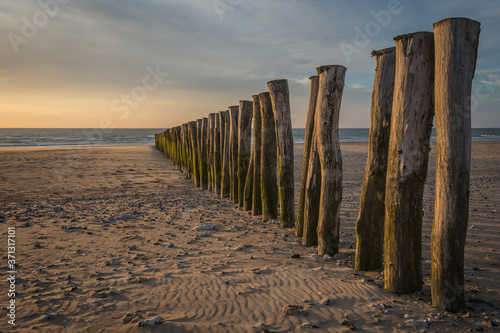 Wooden fence on the beach of Calais at sunset.