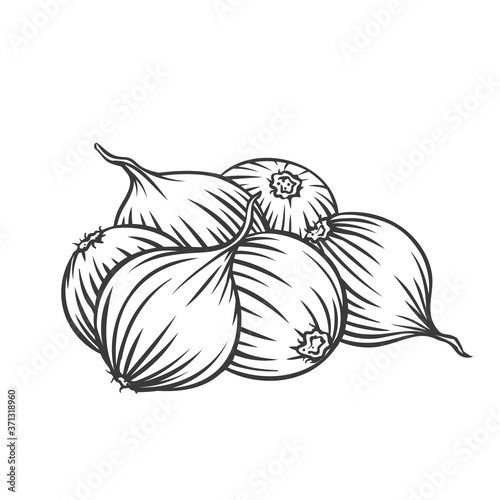 Pile of onion bulbs